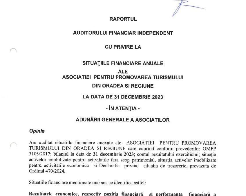 Raport audit 2023