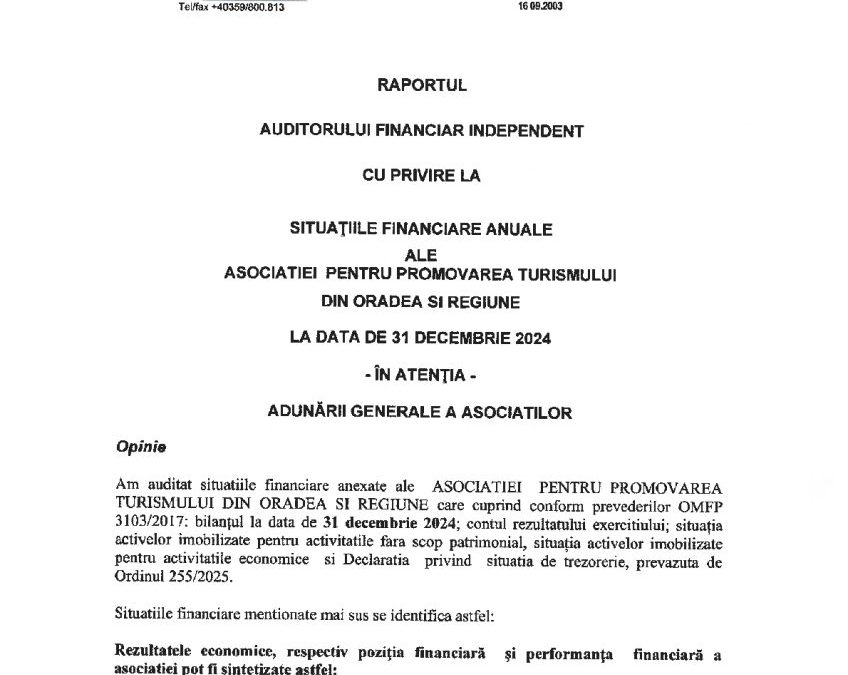 Raport audit 2024