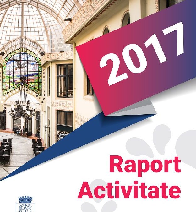 Raport de activitate 2017