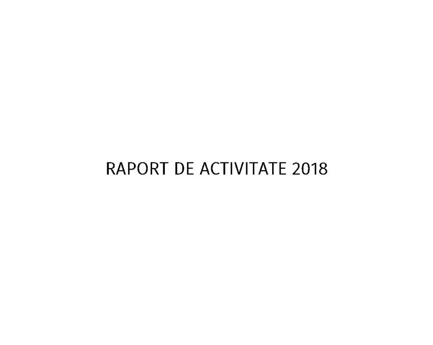Raport de activitate 2018