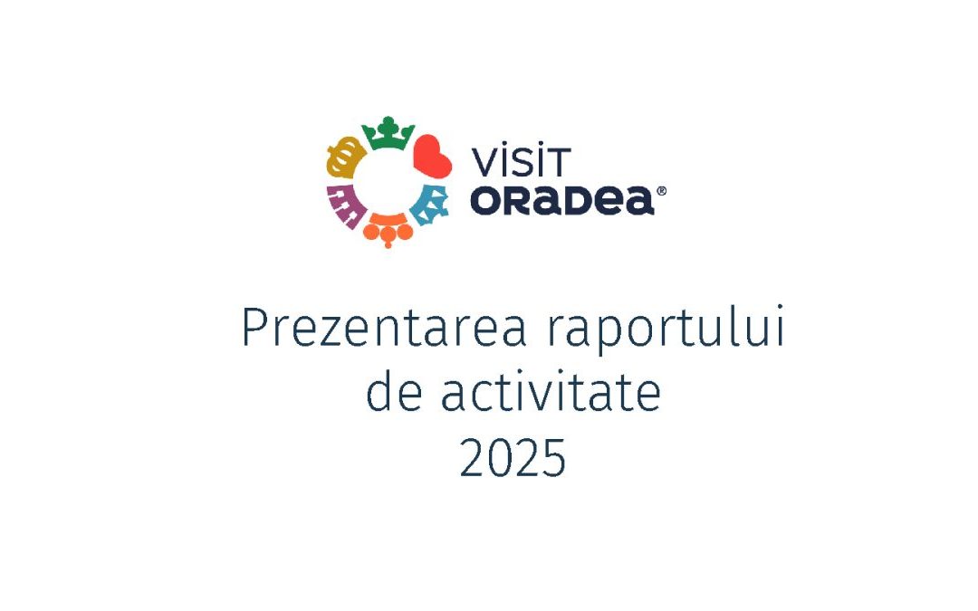 Sinteză raport de activitate 2025